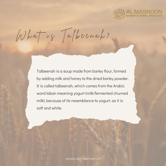 AL MASNOON Talbina Special With Dry Fruits – 350g (Pack of 1)