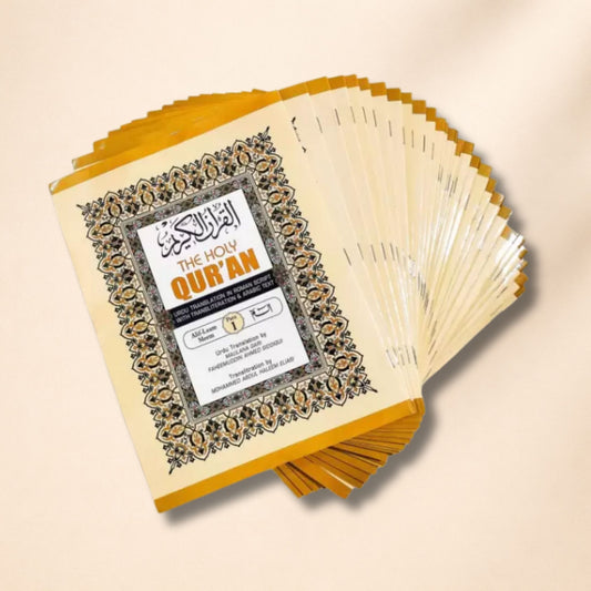Holy Quran 30 Para Set with Roman Urdu Translation | Complete Juz 1–30 | Easy-to-Read Quran Set - Hadiya Islamic Store