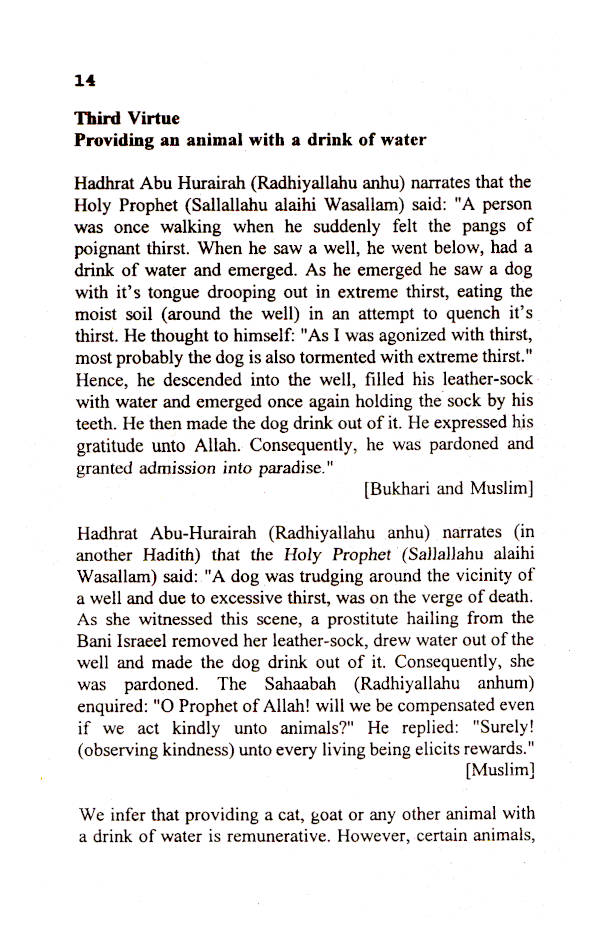 The Forty Pathways to Jannah Idara