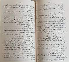 Peer e Kamil پیر کامل  Urdu Novel  Paperback
