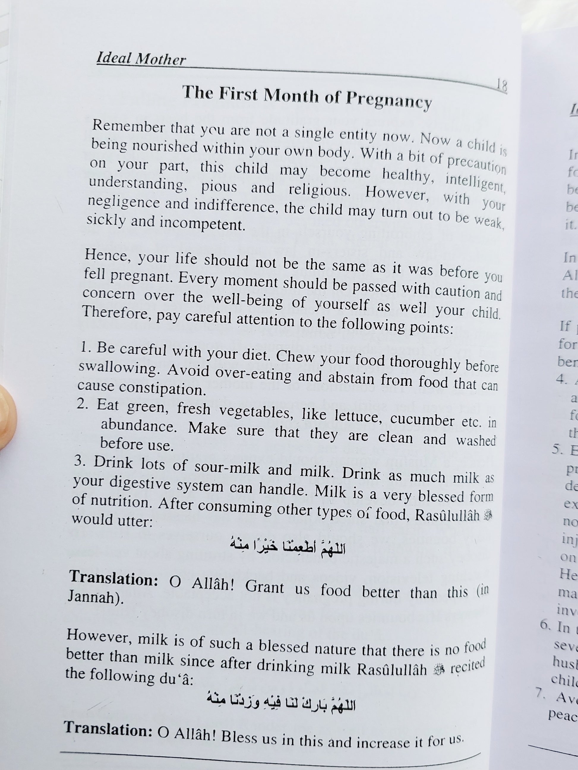 "Precautions during pregnancy covered in the Islamic parenting book 'The Ideal Mother.'"